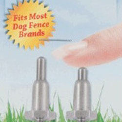 Dog Fence Receiver Collars - Pet Stop Contact Points